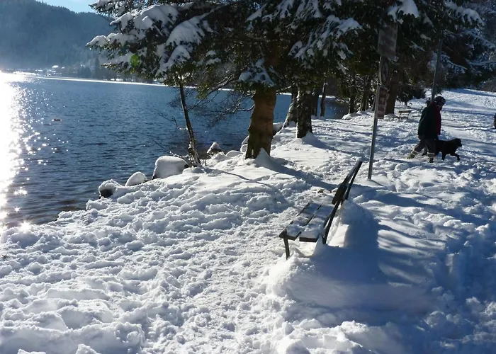 Studio Hauteur Gerardmer