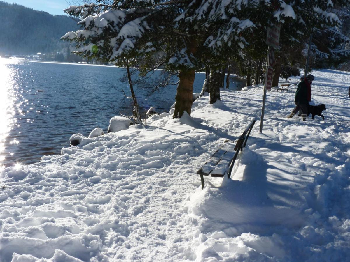 Hauteur * Gerardmer